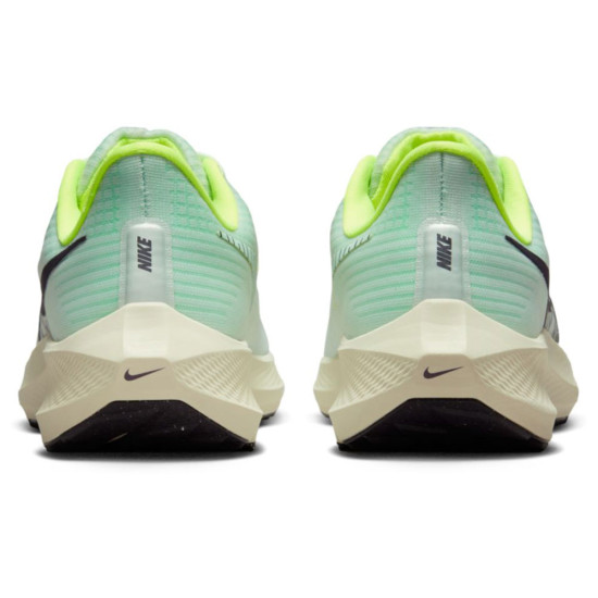 Nike Air Zoom Pegasus 39